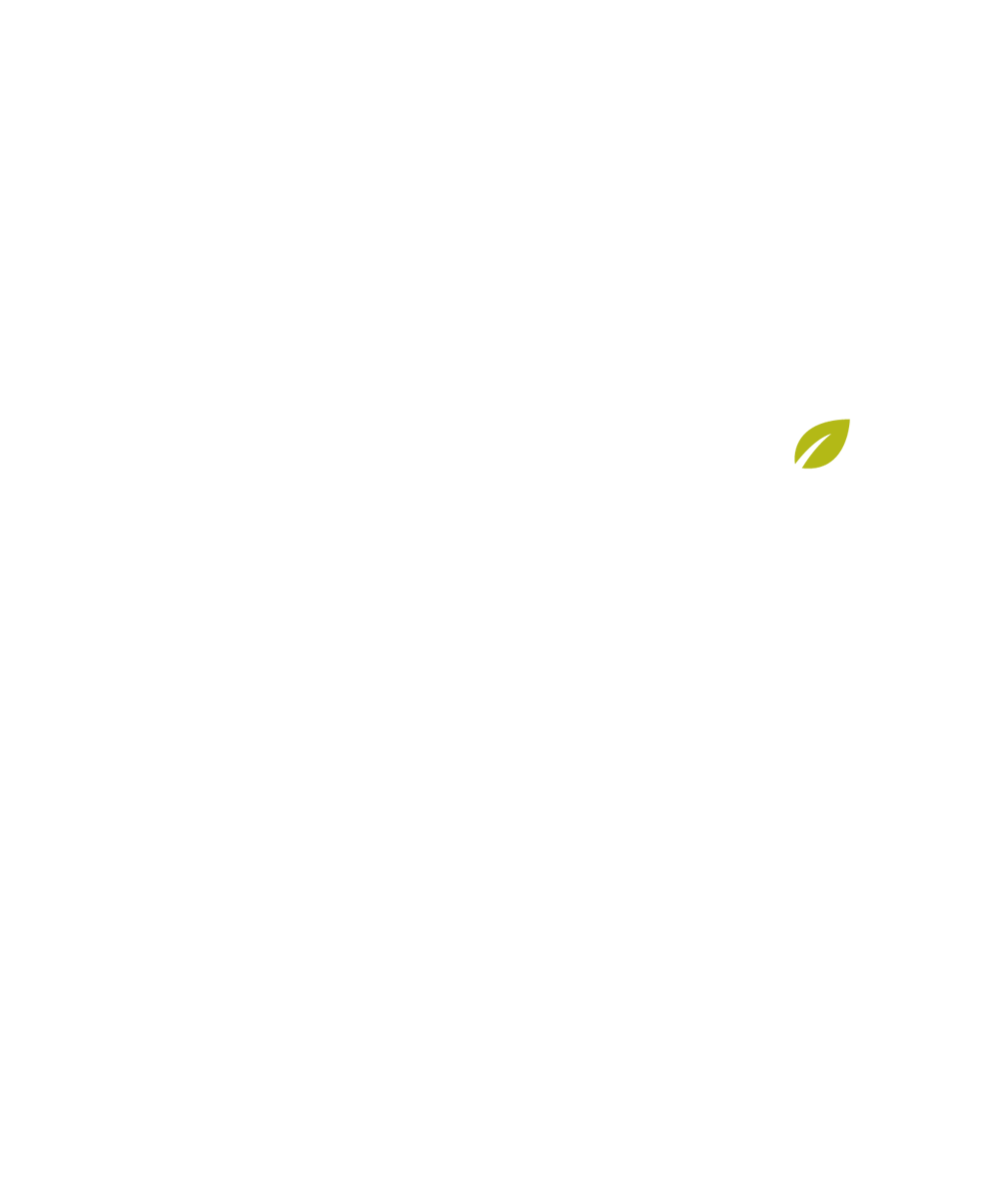RAIZ